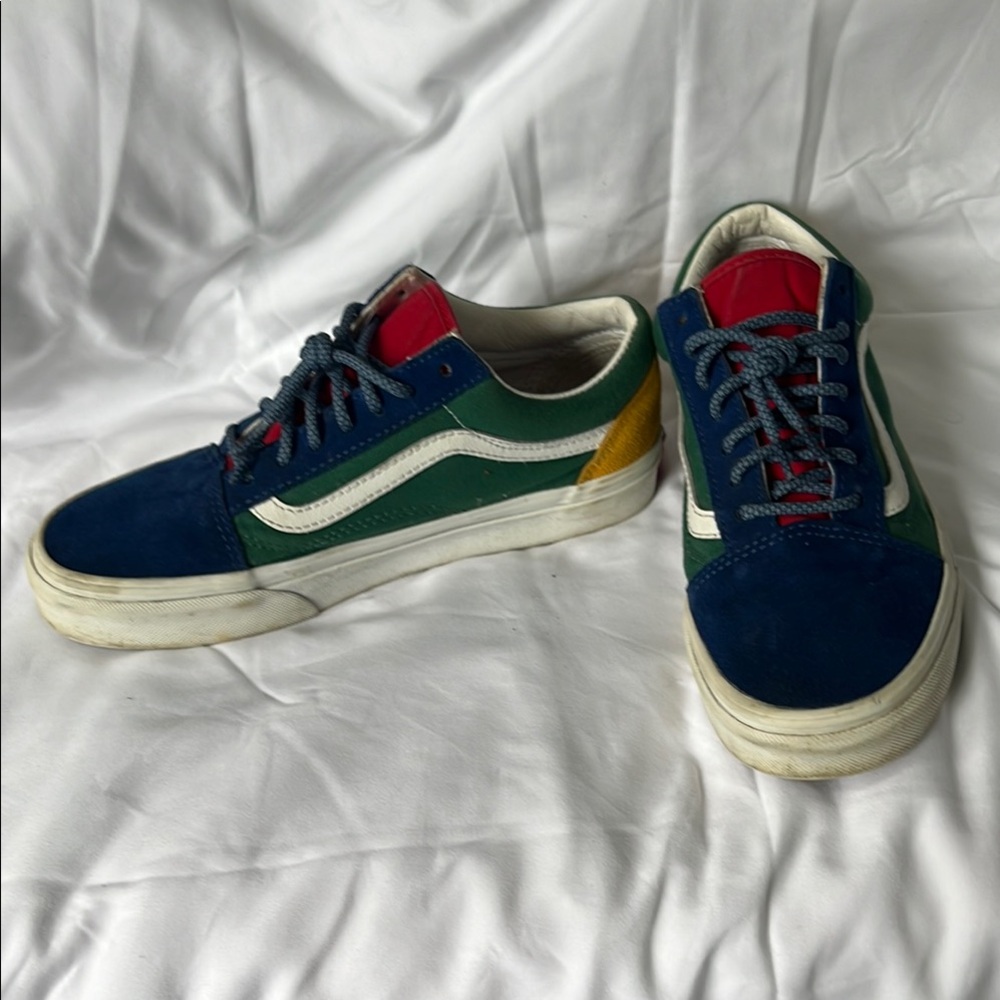 Vans Colorful Skate Sneakers